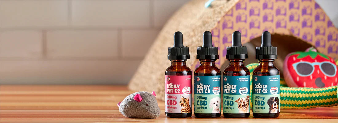 Pet: CBD Tinctures & Treats for Dogs & Cats