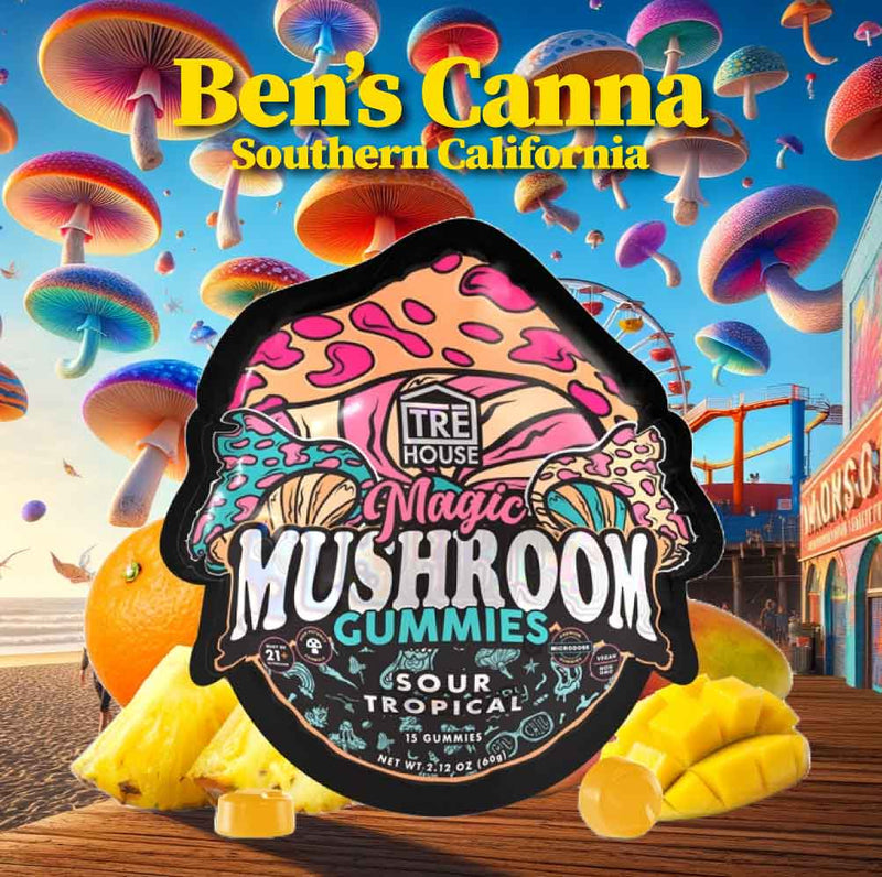 California Magic Shroom Gummies | Trē House - Available at Ben's Canna