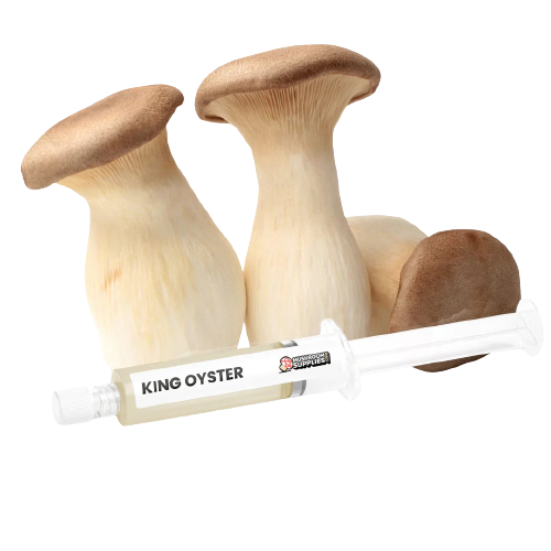 At-Home Mushroom Cultivation Workshop - Virtual Experience