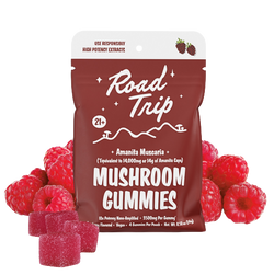 Amanita Muscaria Mushroom Gummies - Raspberry.