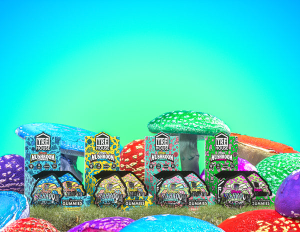 Trē House Magic Mushroom Gummies - 10-Pack