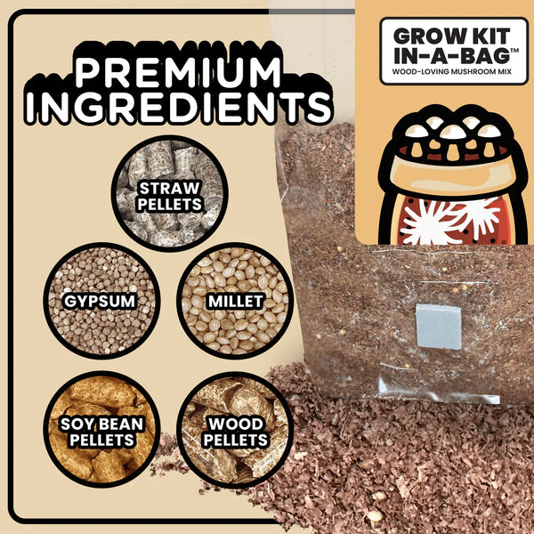 At-Home Mushroom Cultivation Workshop - Virtual Experience